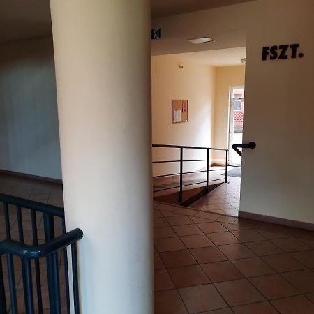 Crazy Frog Gambrinusz Ii. Lägenhet Hajdúszoboszló Exteriör bild